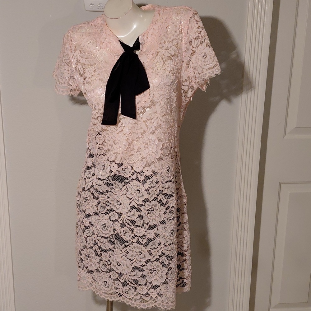 Belle Sky Lace A-Line Dress - Pink